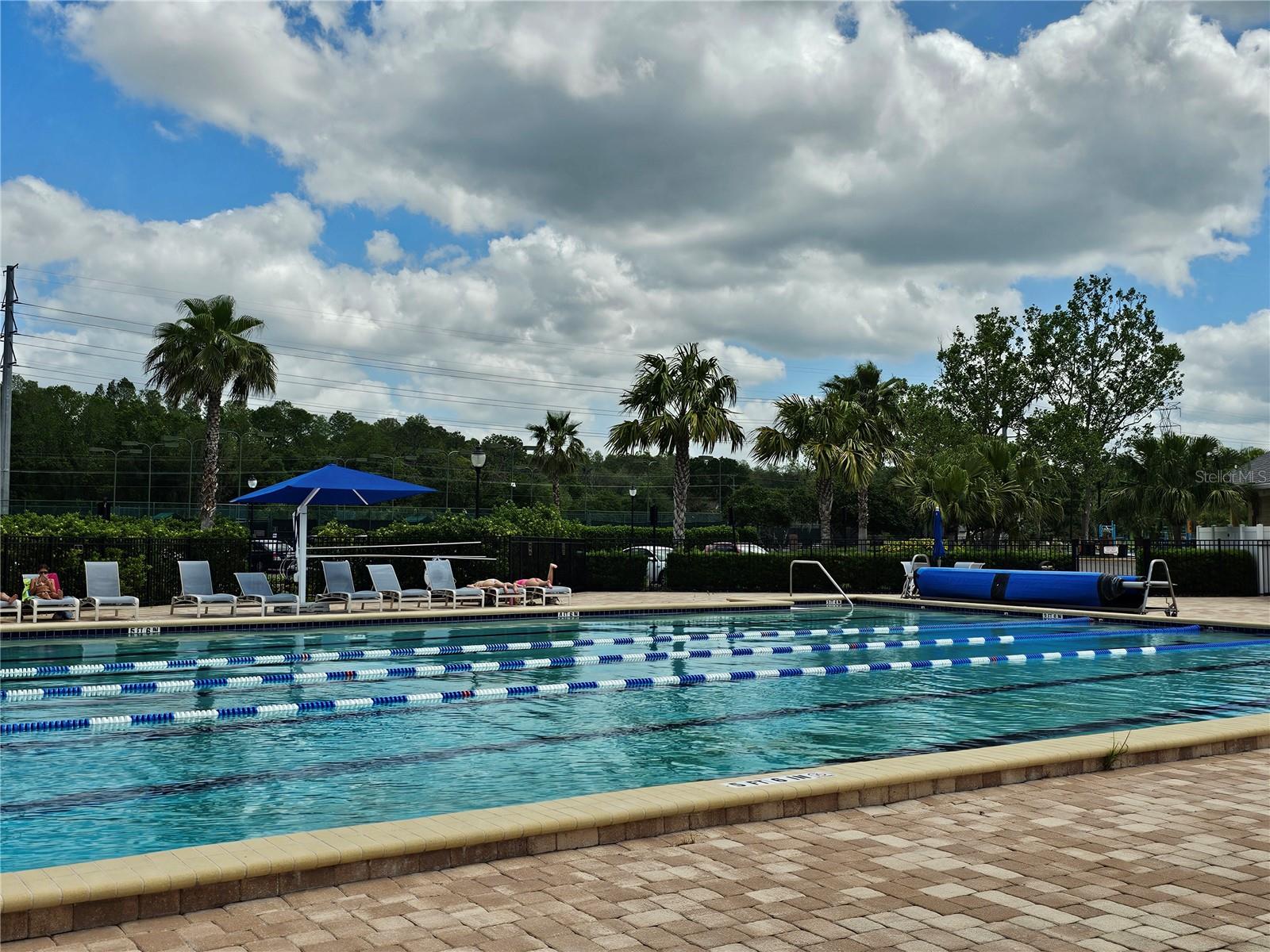 5110 STERLING MANOR DR, TAMPA, FL, 33647