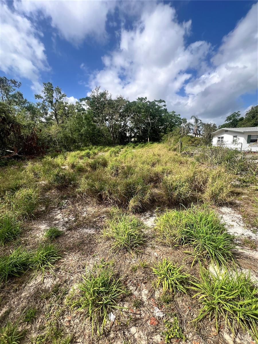 CARSON AVE, BABSON PARK, FL, 33827