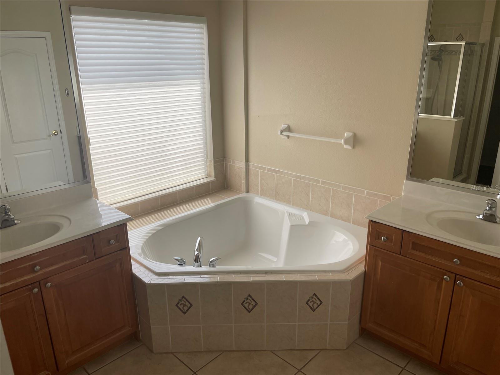 7051 BRAMLEA LN, WINDERMERE, FL, 34786