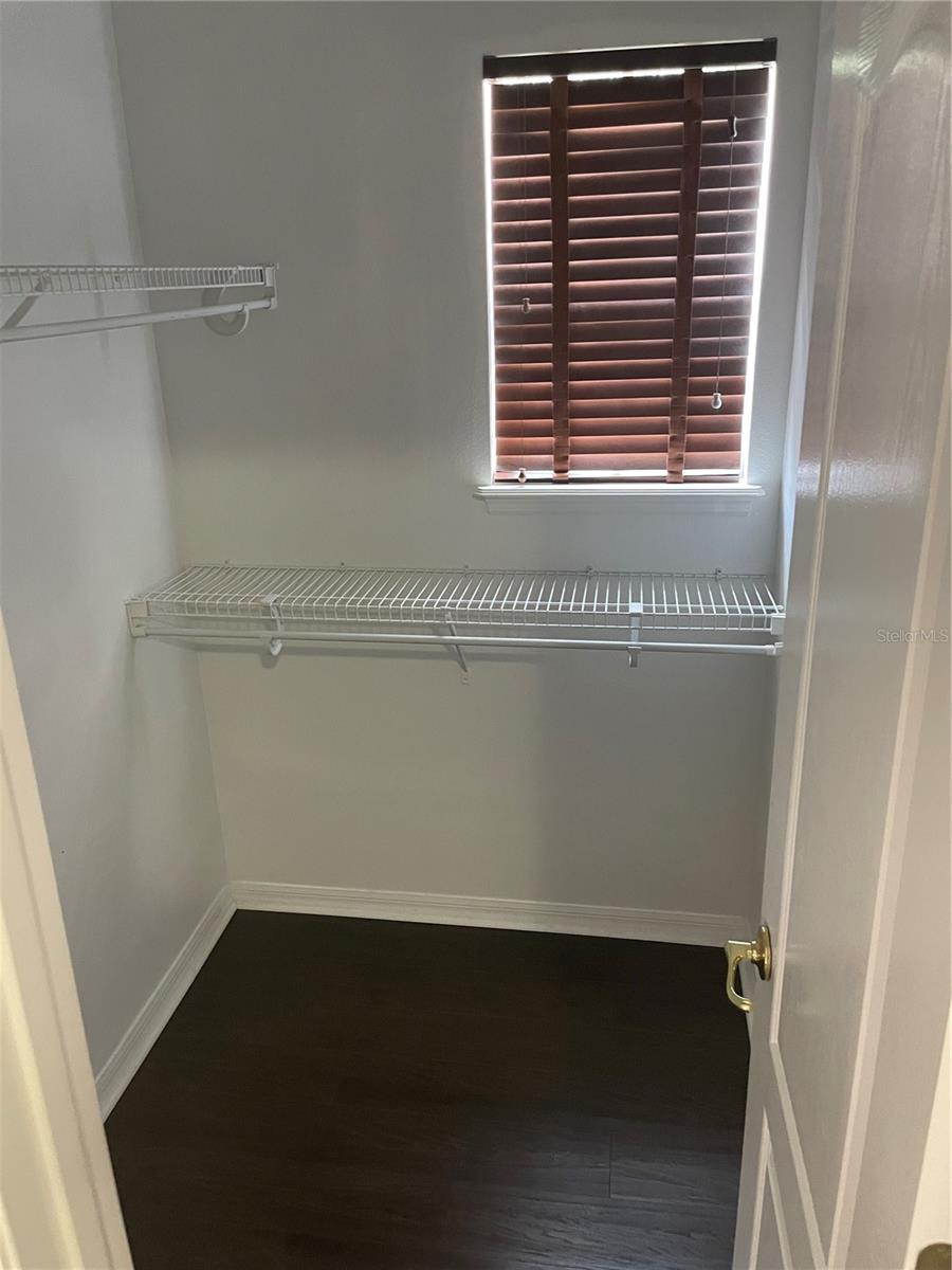 7051 BRAMLEA LN, WINDERMERE, FL, 34786