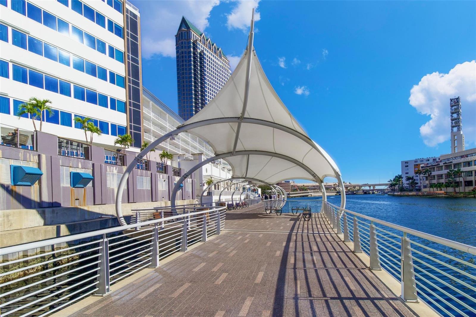 803 W WOODLAWN AVE, TAMPA, FL, 33603