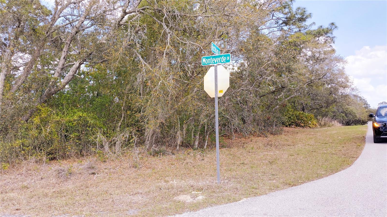 2146 RICHLOAM LN, SPRING HILL, FL, 34610