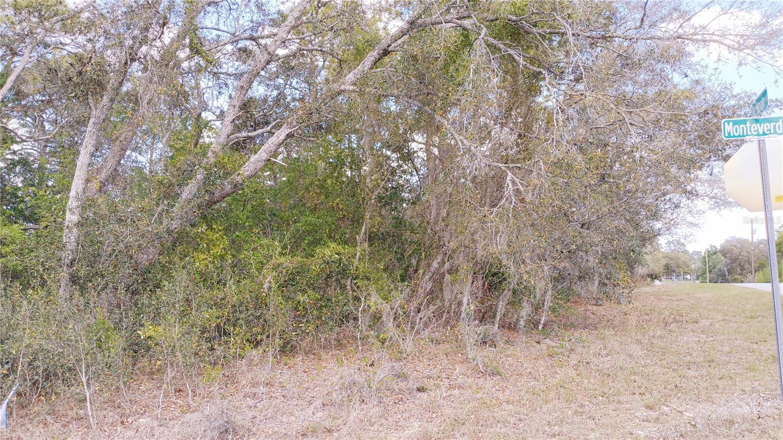 2146 RICHLOAM LN, SPRING HILL, FL, 34610