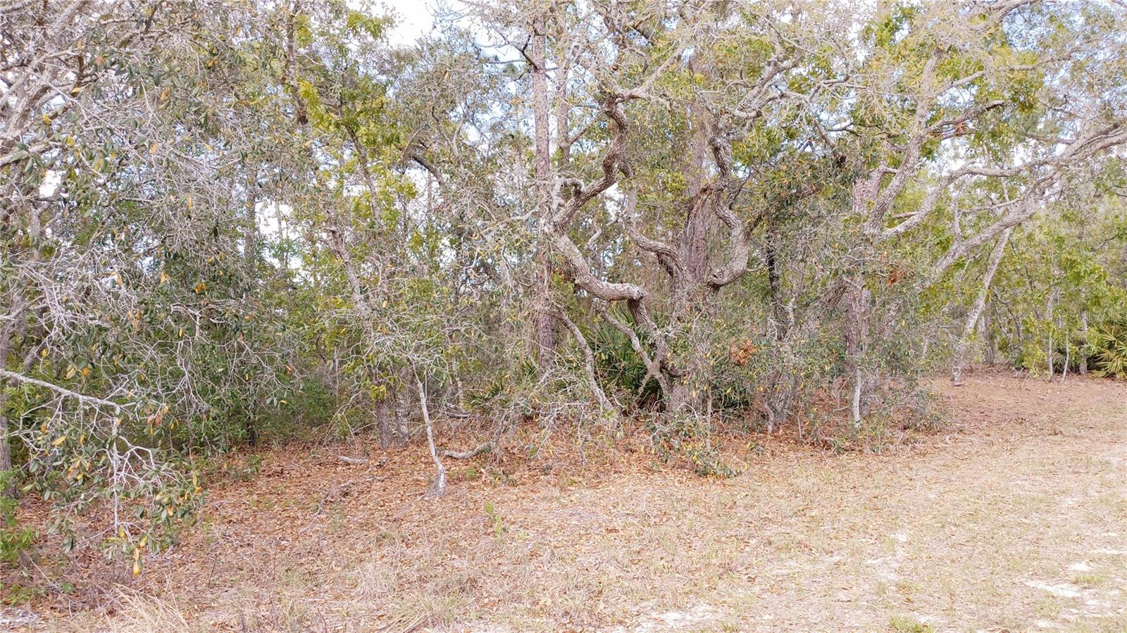 2146 RICHLOAM LN, SPRING HILL, FL, 34610