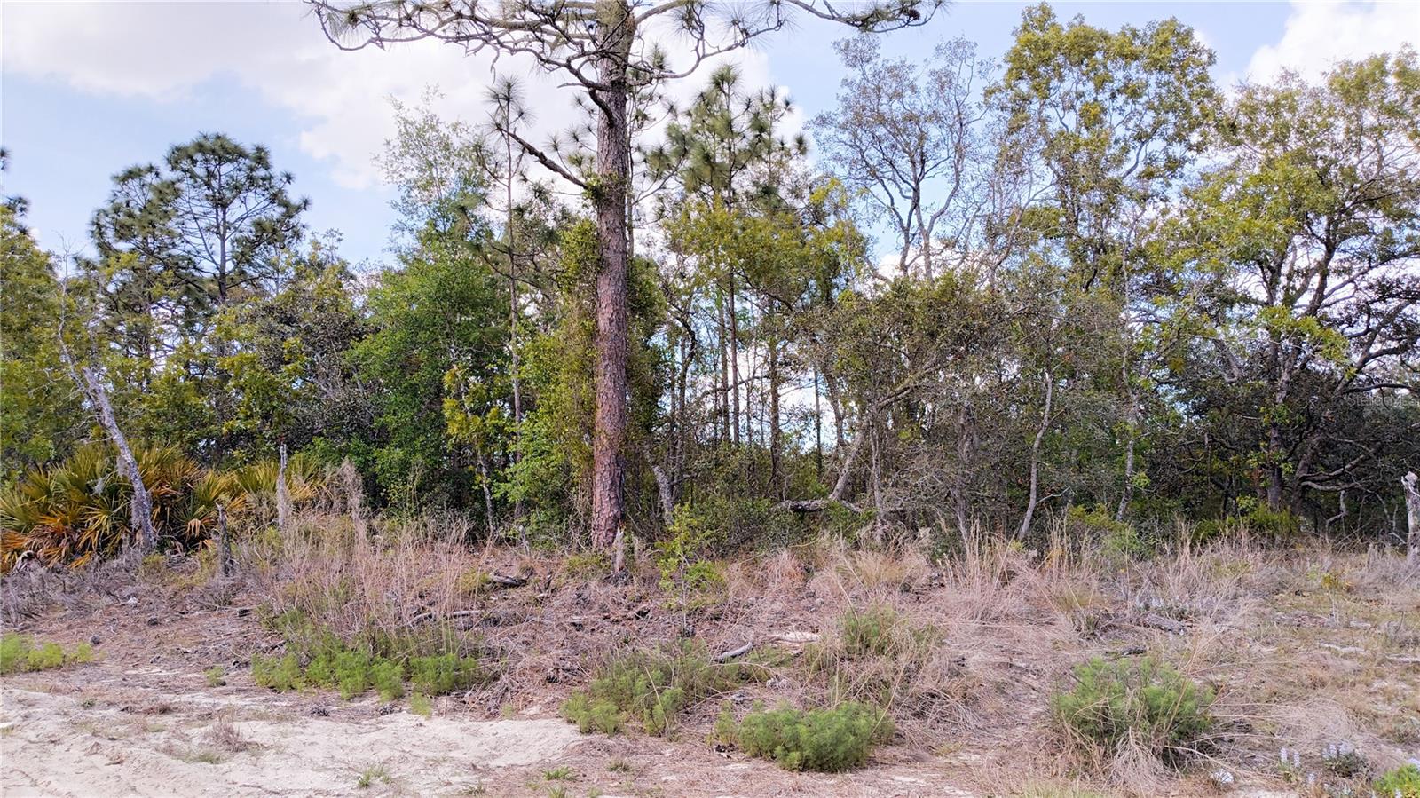 2146 RICHLOAM LN, SPRING HILL, FL, 34610