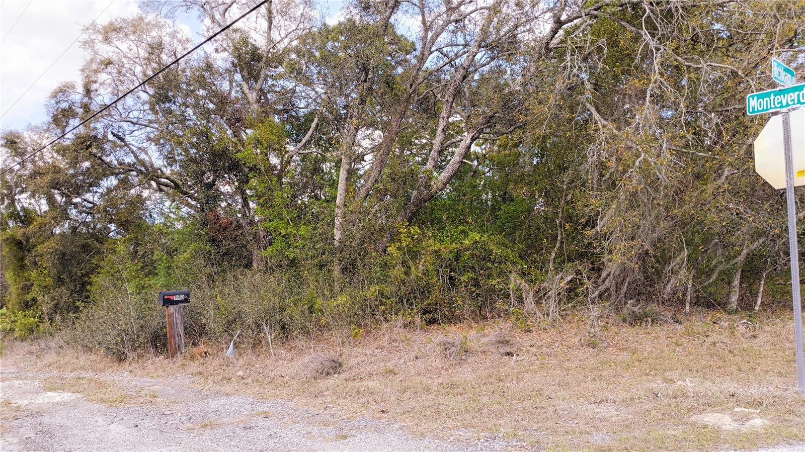 2146 RICHLOAM LN, SPRING HILL, FL, 34610