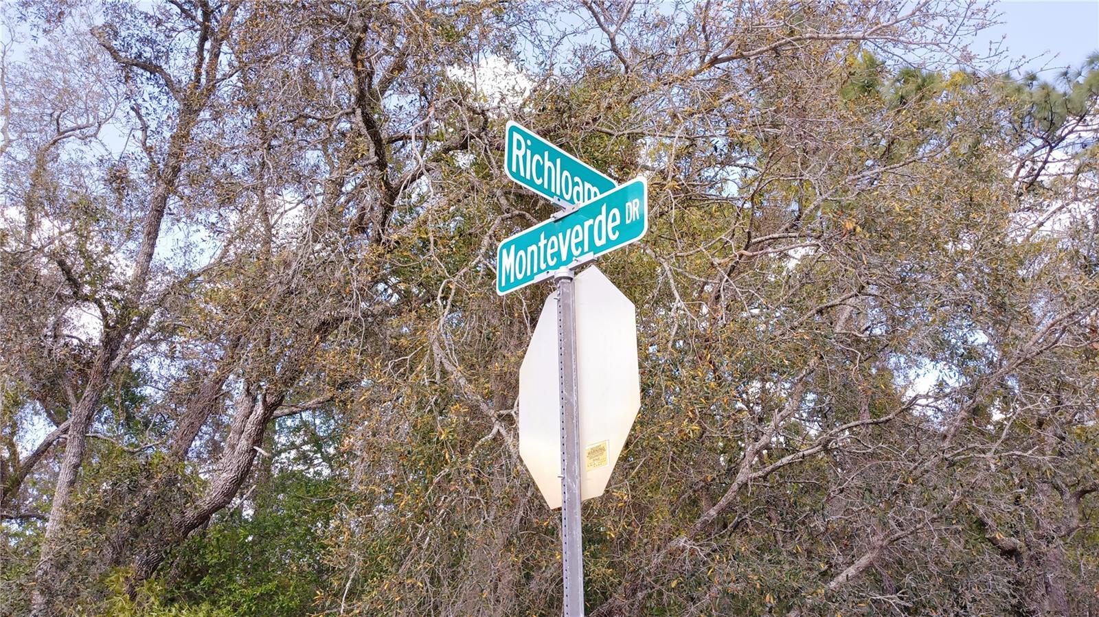 2146 RICHLOAM LN, SPRING HILL, FL, 34610