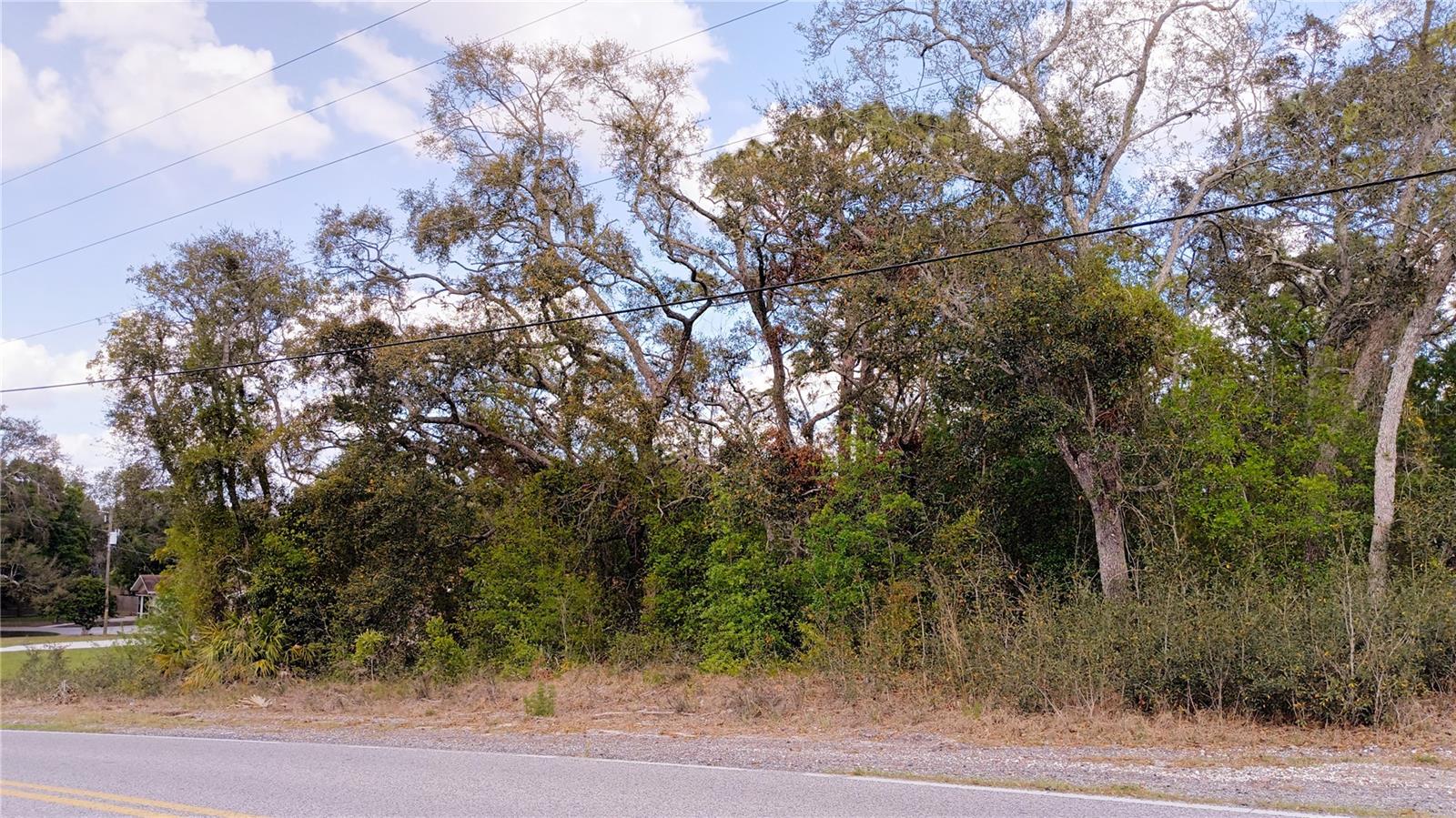 2146 RICHLOAM LN, SPRING HILL, FL, 34610
