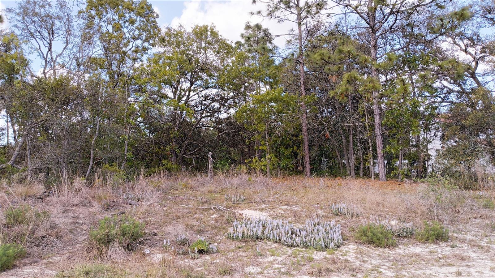 2146 RICHLOAM LN, SPRING HILL, FL, 34610