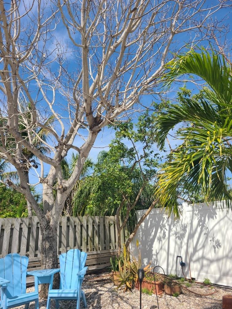365 S TESSIER DR, ST PETE BEACH, FL, 33706