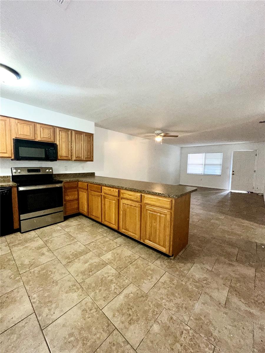 1133 E CLIFFORD AVE, EUSTIS, FL, 32726