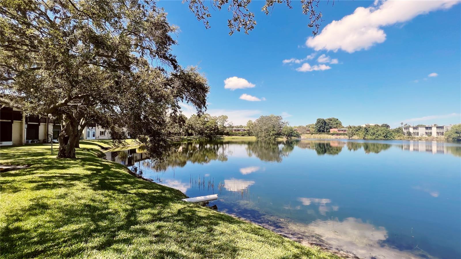 601 N KEENE RD #C, CLEARWATER, FL, 33755