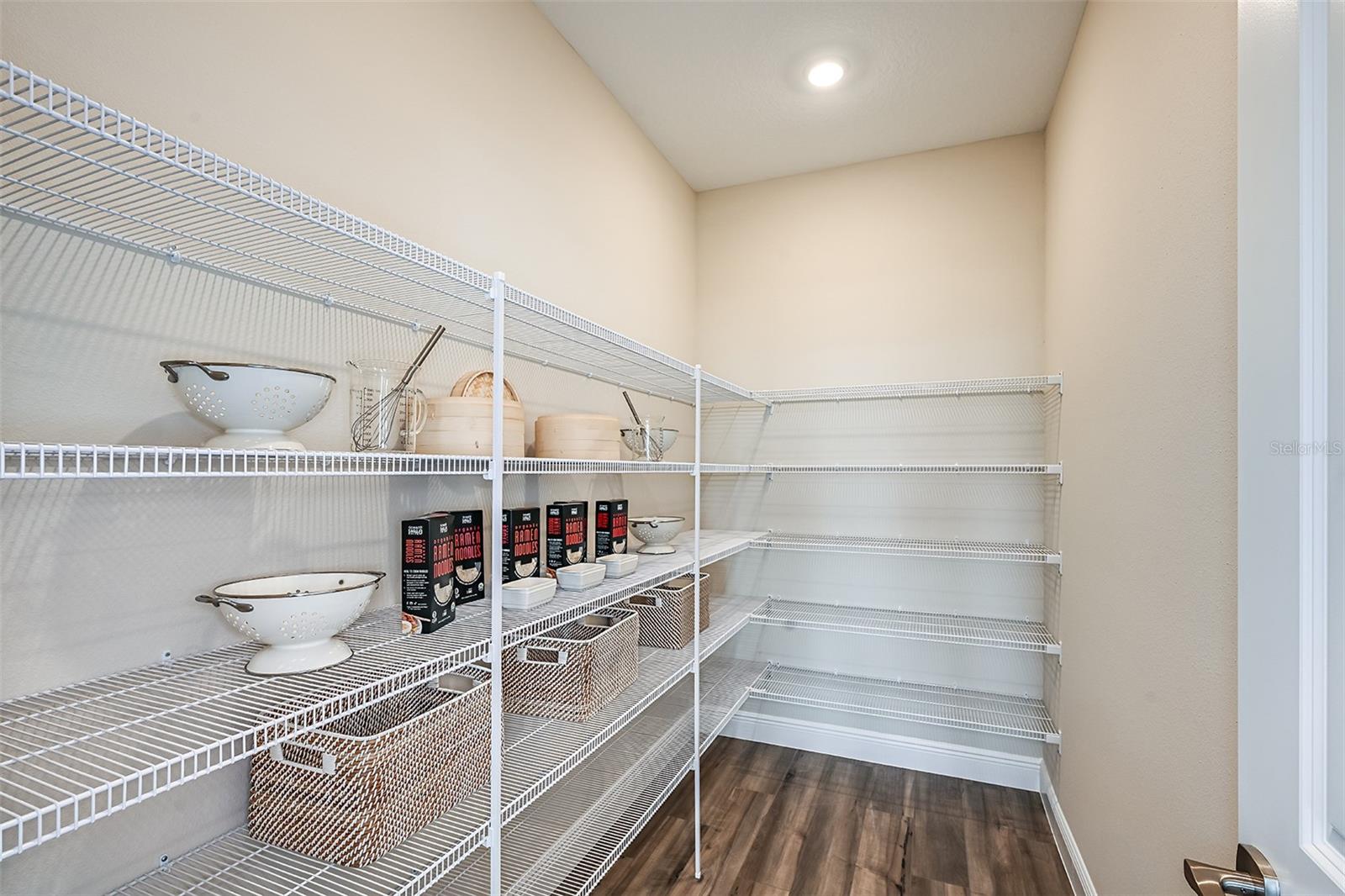 12166 CATTLESIDE DR, RIVERVIEW, FL, 33579