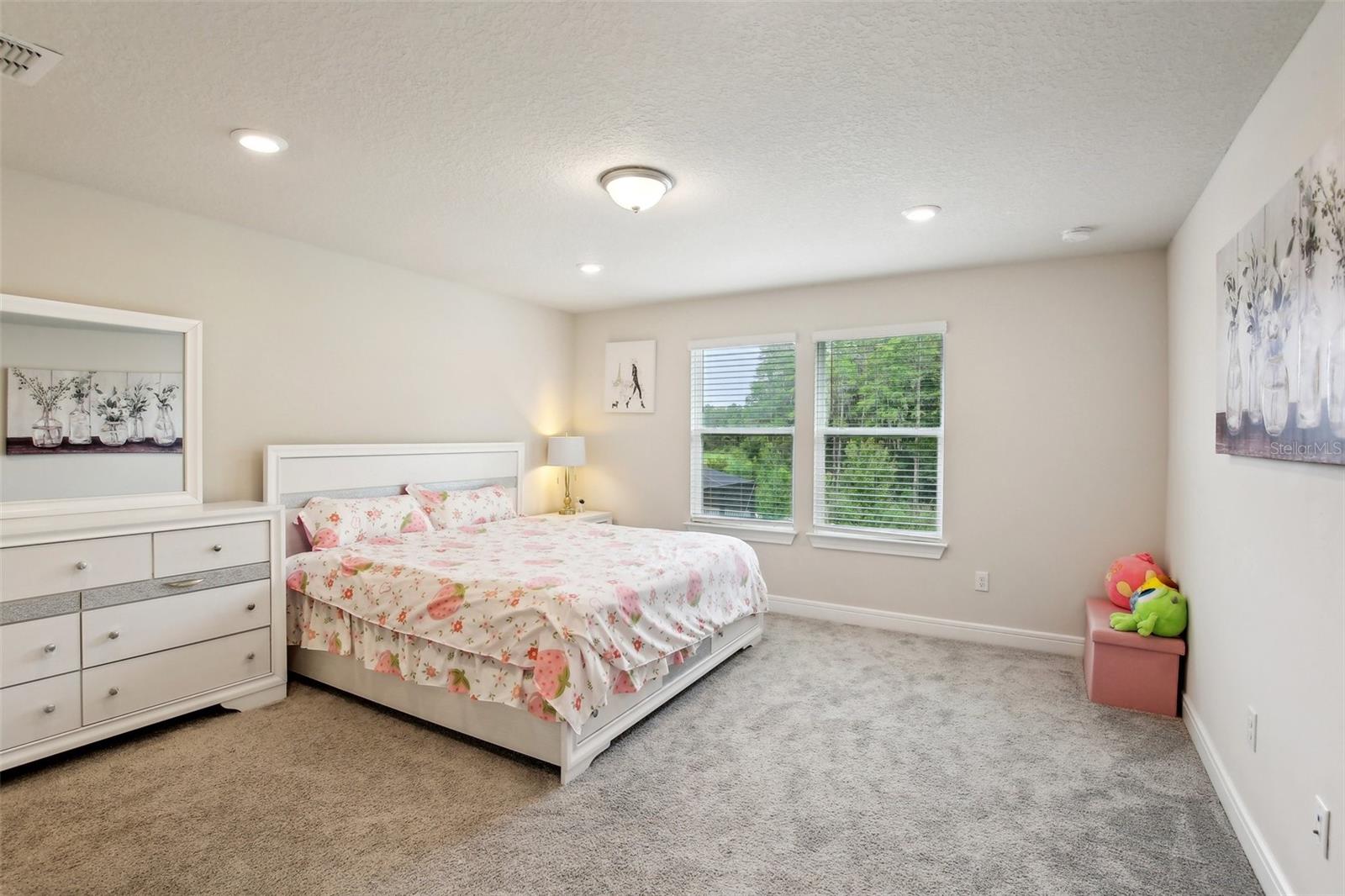 10815 WINDSWEPT GARDEN WAY, TAMPA, FL, 33647