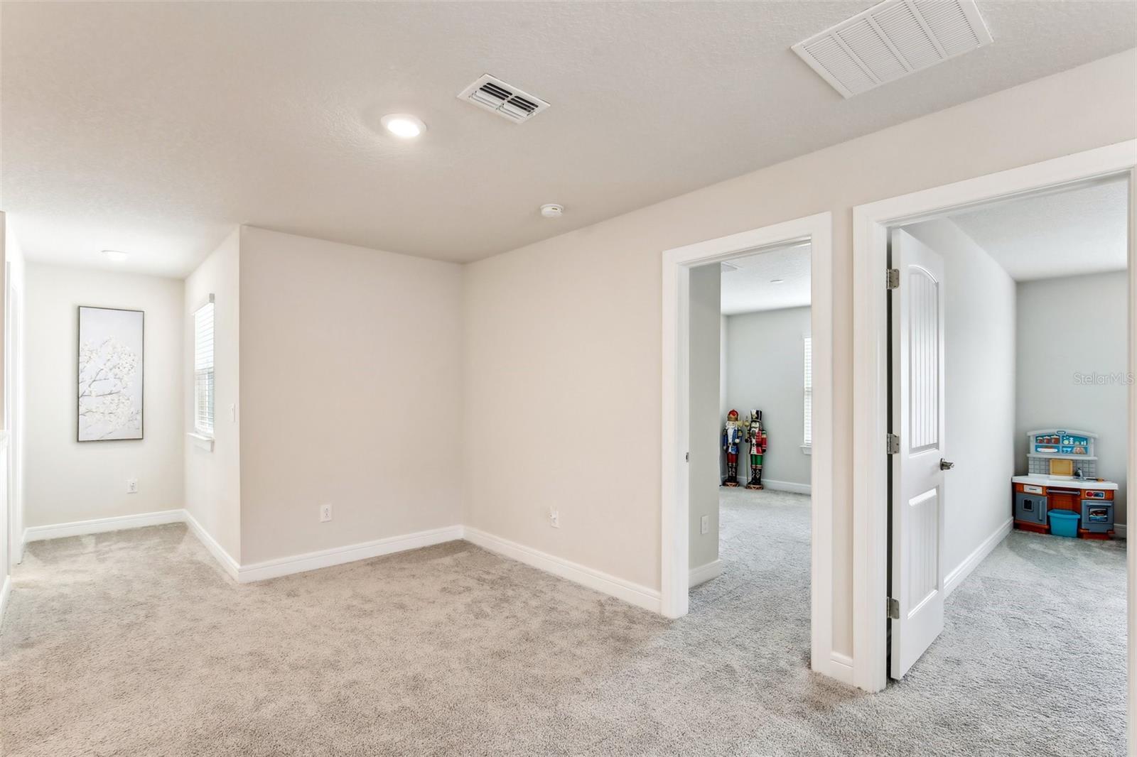 10815 WINDSWEPT GARDEN WAY, TAMPA, FL, 33647