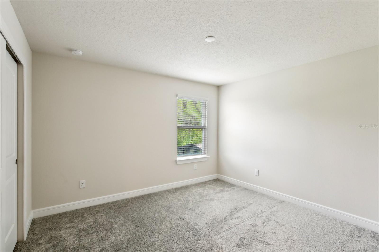 10815 WINDSWEPT GARDEN WAY, TAMPA, FL, 33647