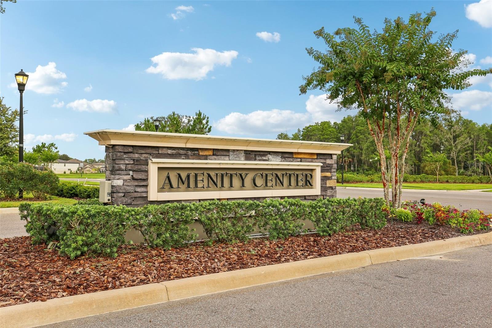 10815 WINDSWEPT GARDEN WAY, TAMPA, FL, 33647