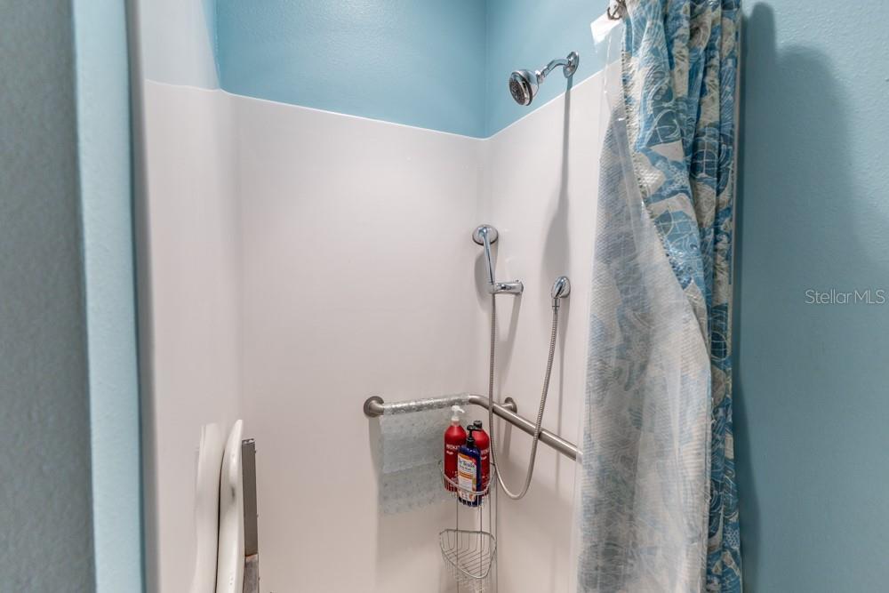 809 COUNTY ROAD 466 #202C, LADY LAKE, FL, 32159