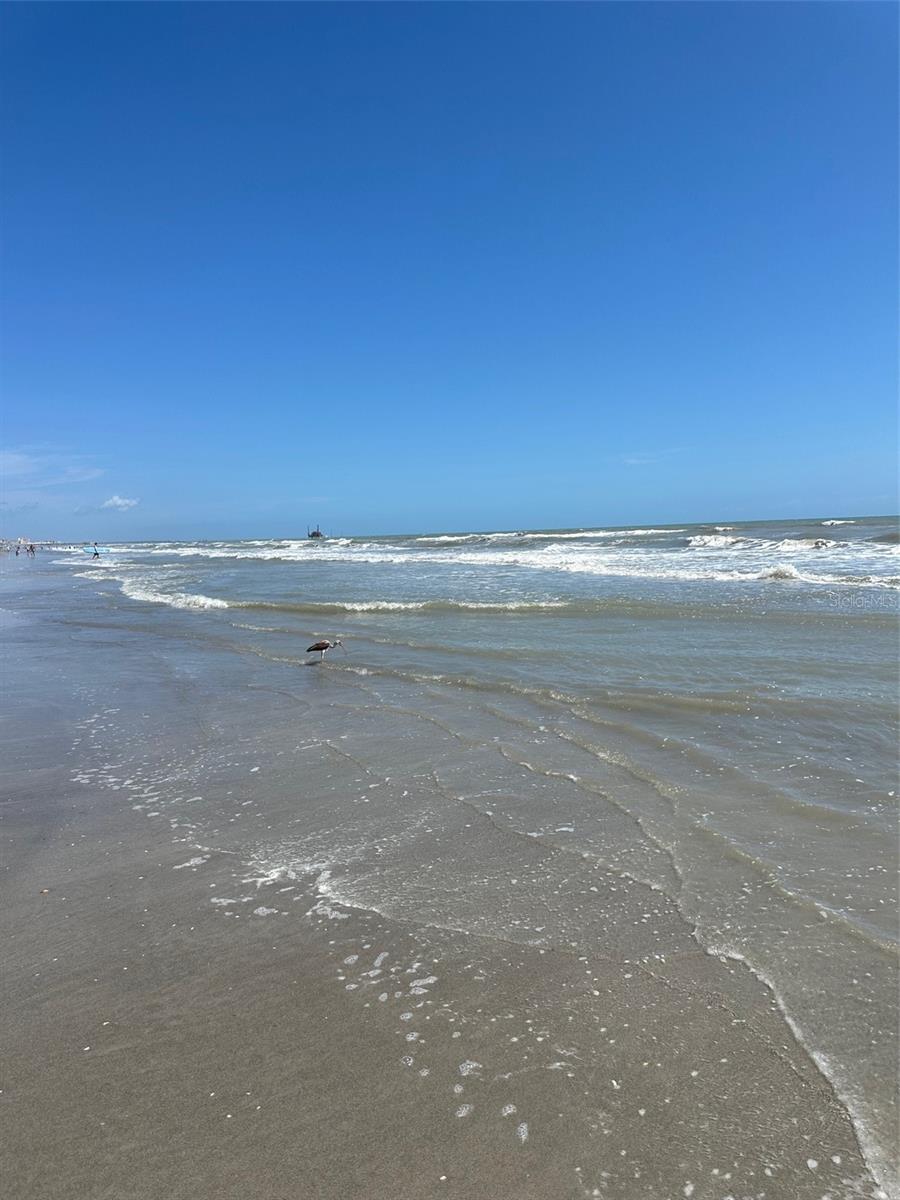 1890 N ATLANTIC AVE #A403, COCOA BEACH, FL, 32931