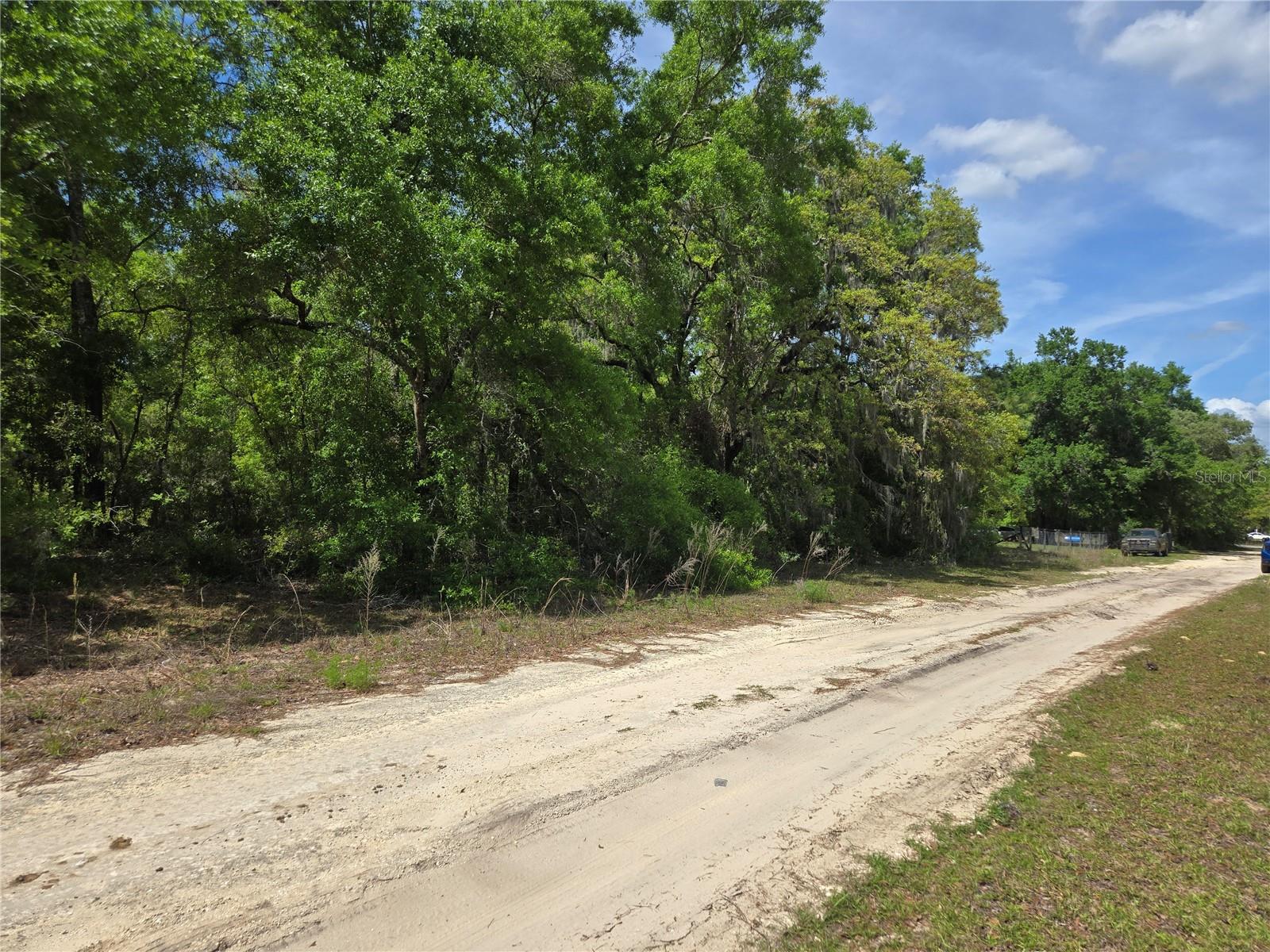 0 NE 155TH CT, WILLISTON, FL, 32696