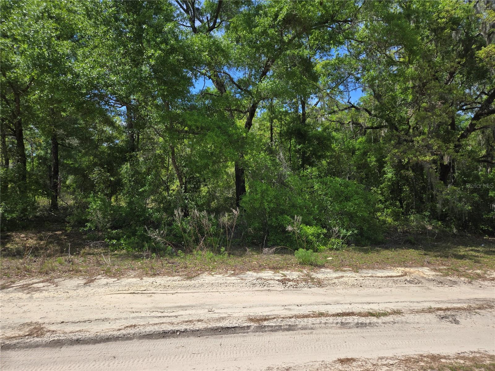 0 NE 155TH CT, WILLISTON, FL, 32696
