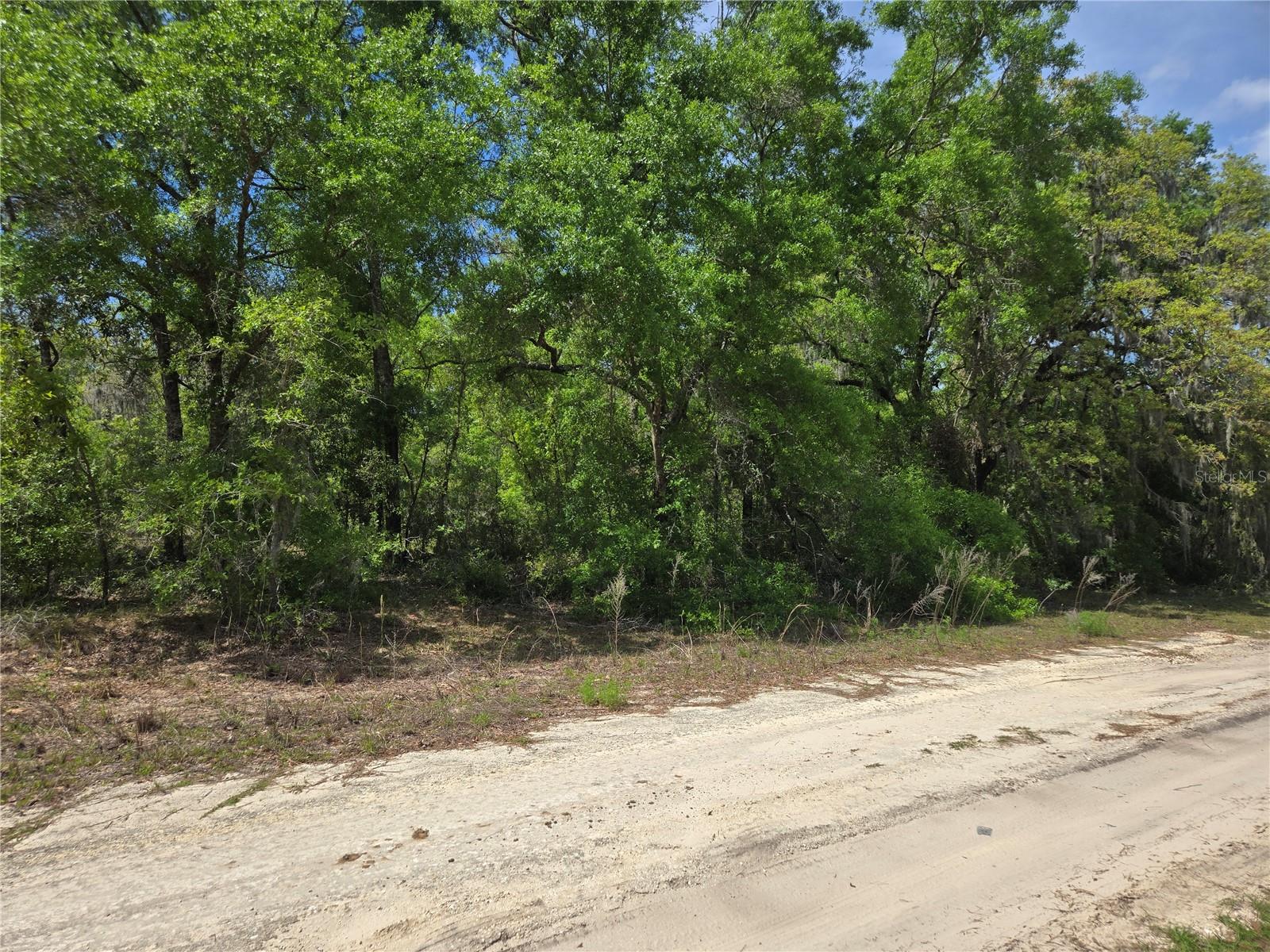 0 NE 155TH CT, WILLISTON, FL, 32696