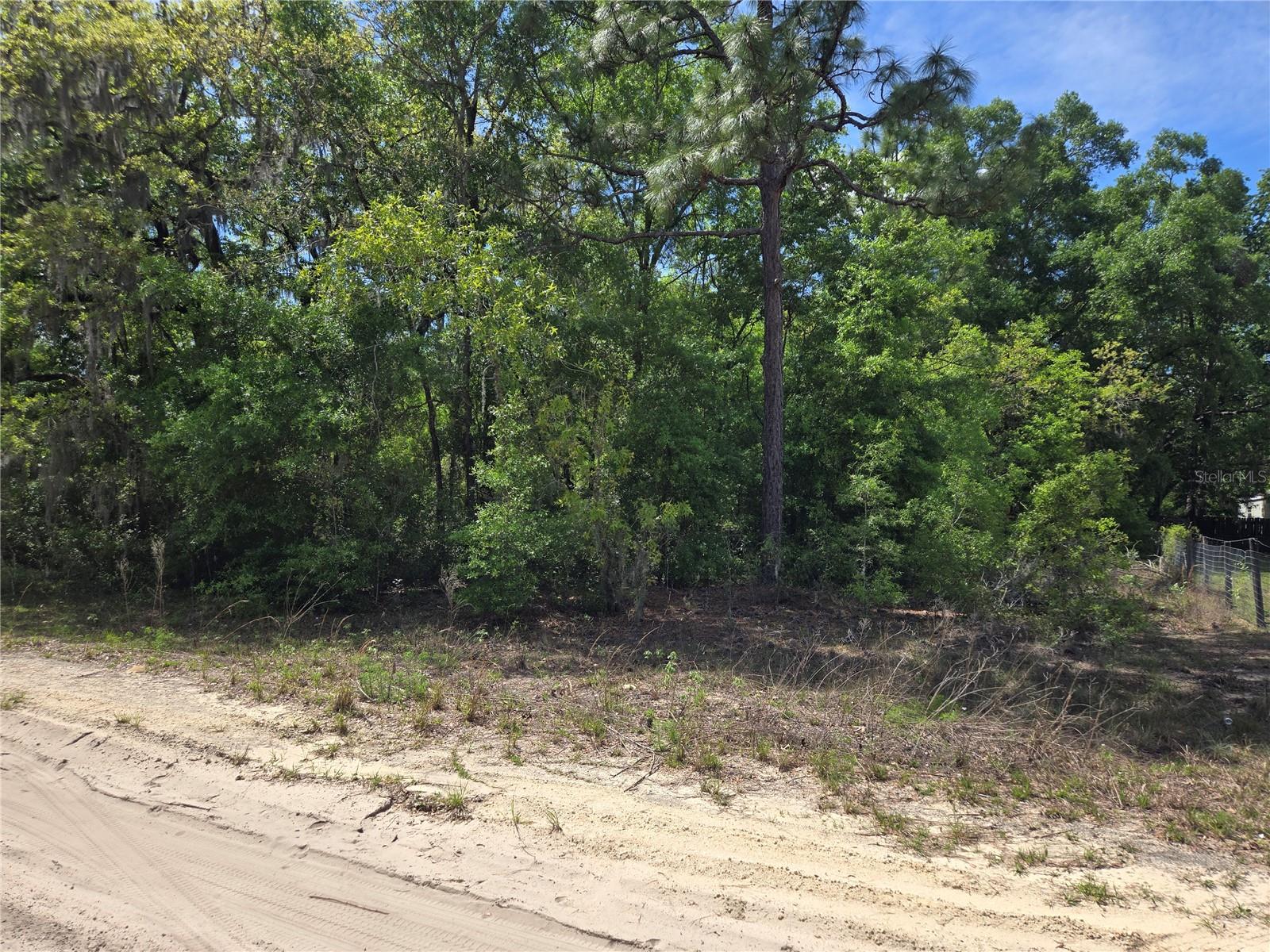 0 NE 155TH CT, WILLISTON, FL, 32696