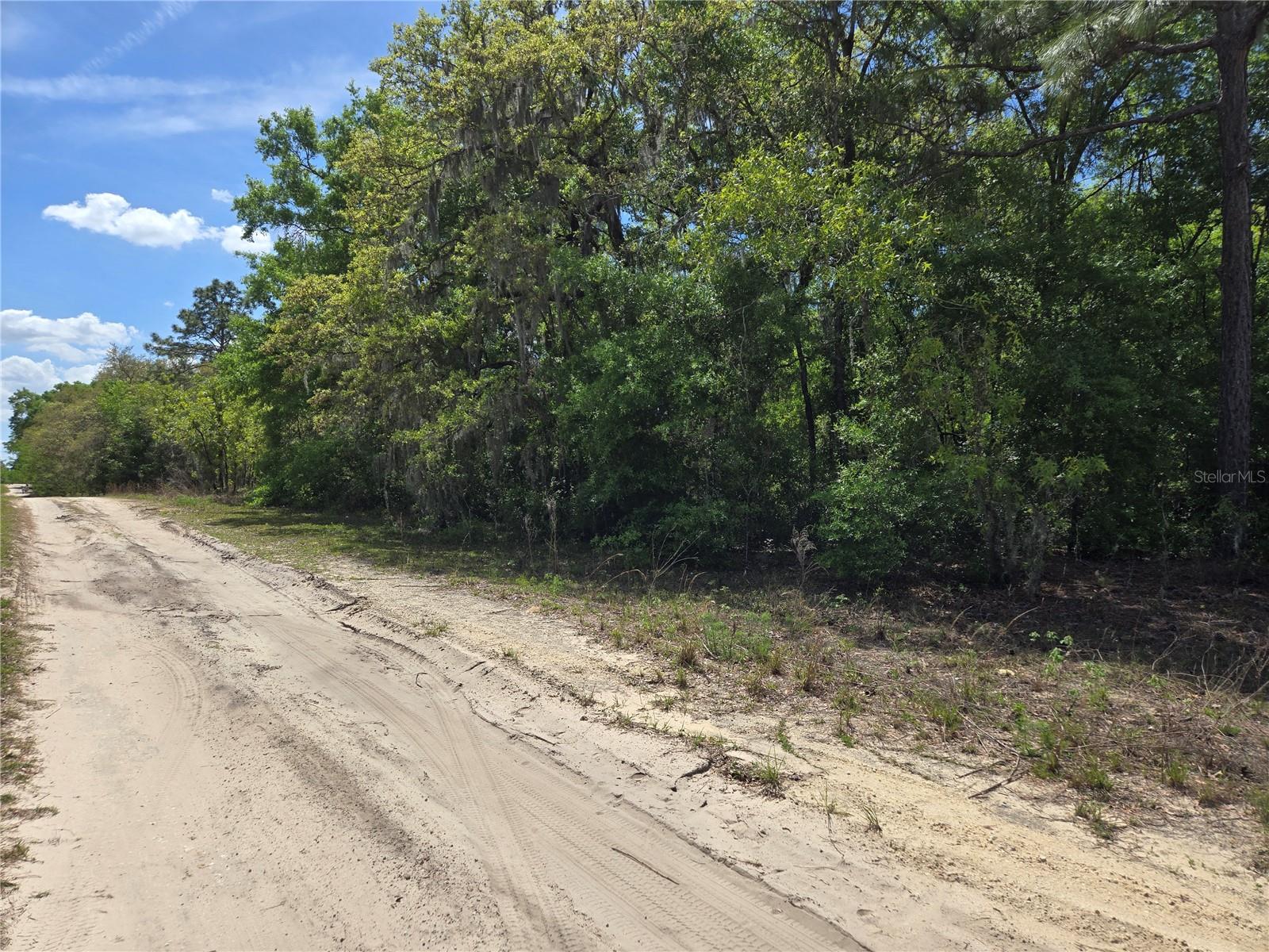 0 NE 155TH CT, WILLISTON, FL, 32696