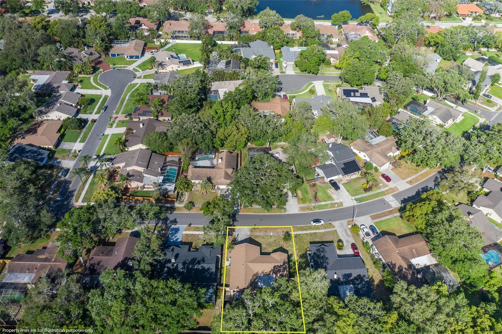512 WINDING WILLOW DR, PALM HARBOR, FL, 34683