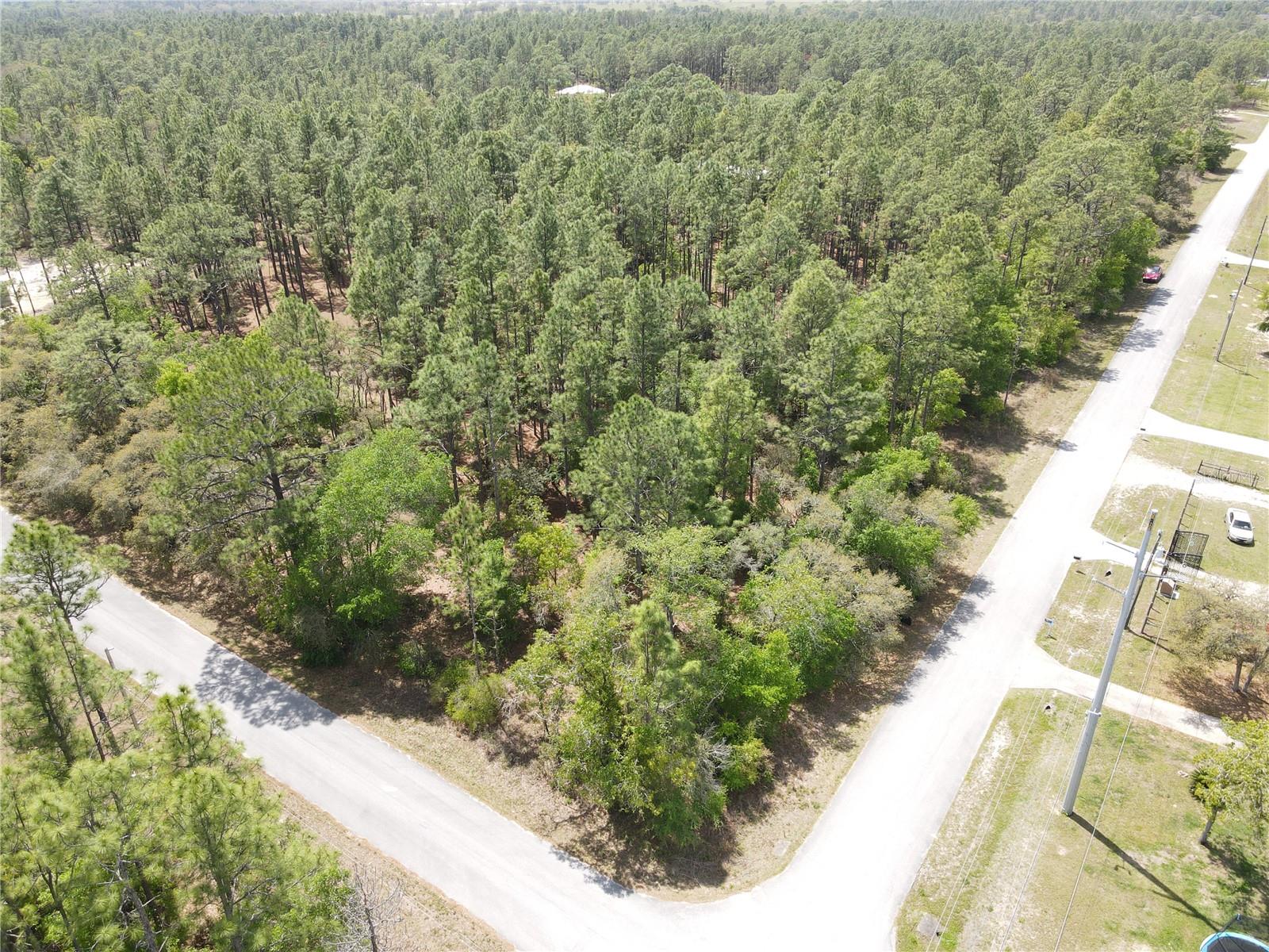 SW 59 LN, DUNNELLON, FL, 34431