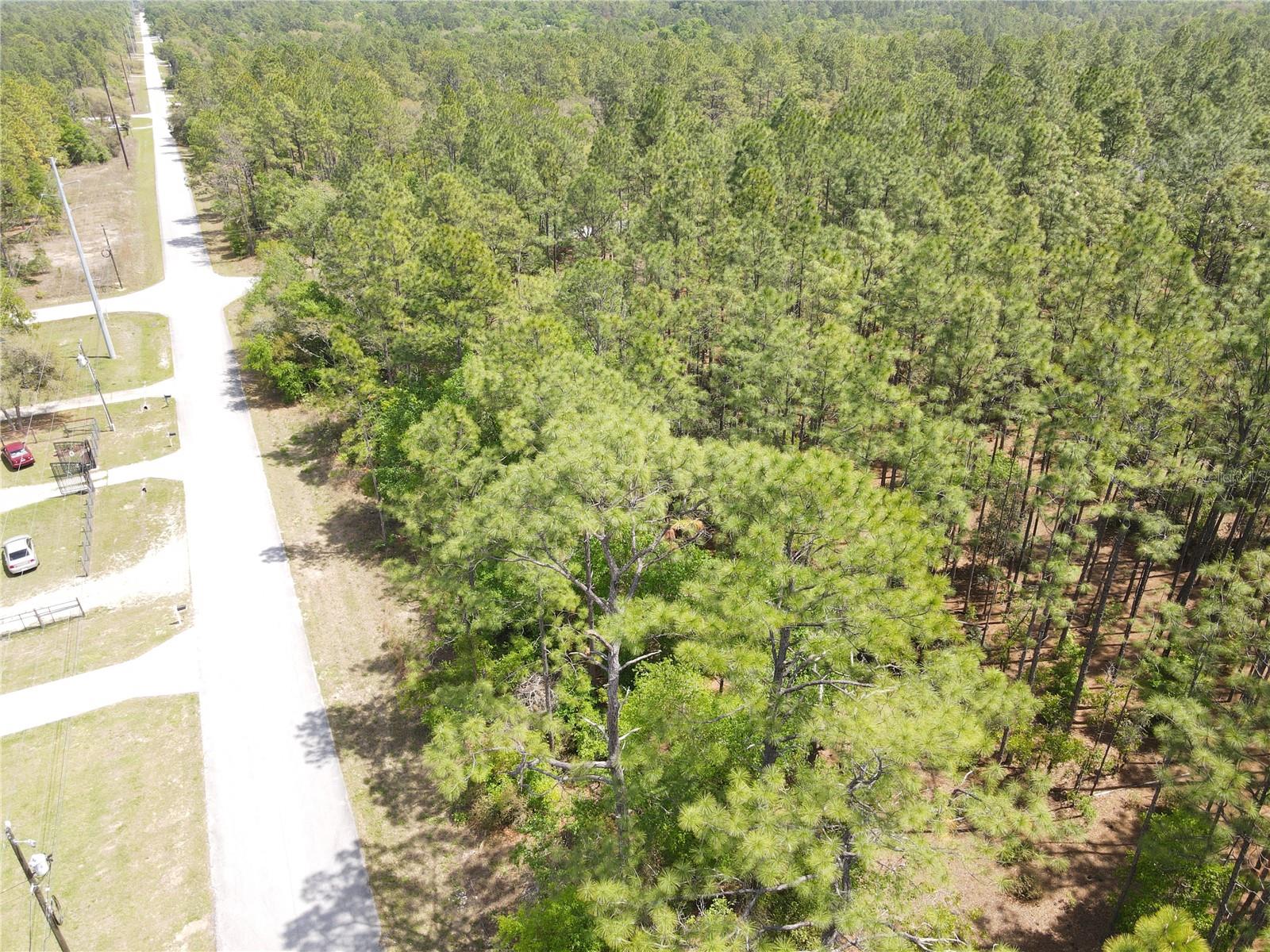 SW 59 LN, DUNNELLON, FL, 34431