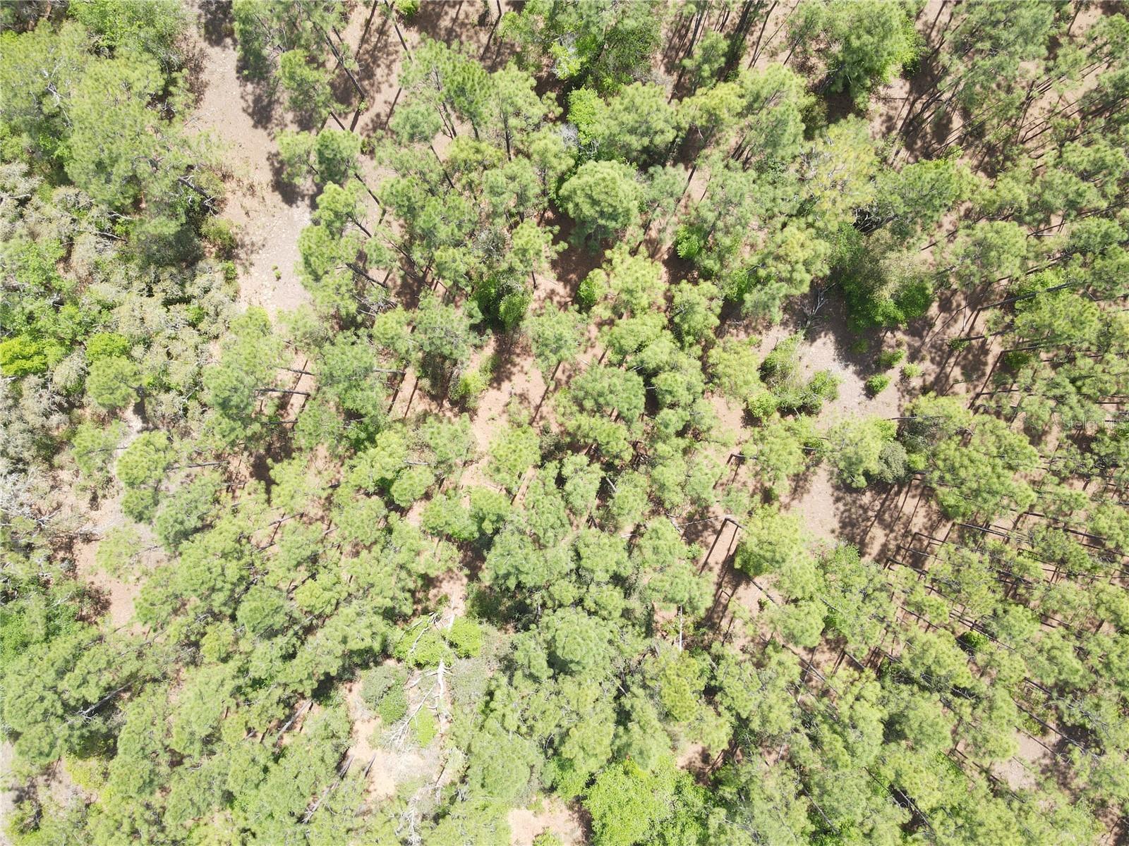 SW 59 LN, DUNNELLON, FL, 34431