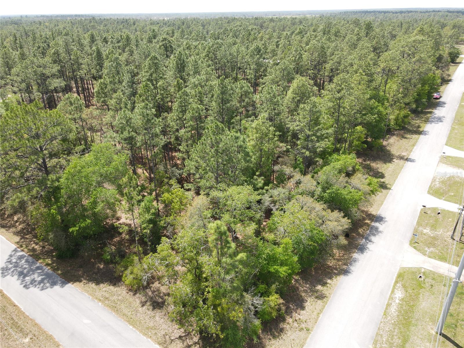 SW 59 LN, DUNNELLON, FL, 34431