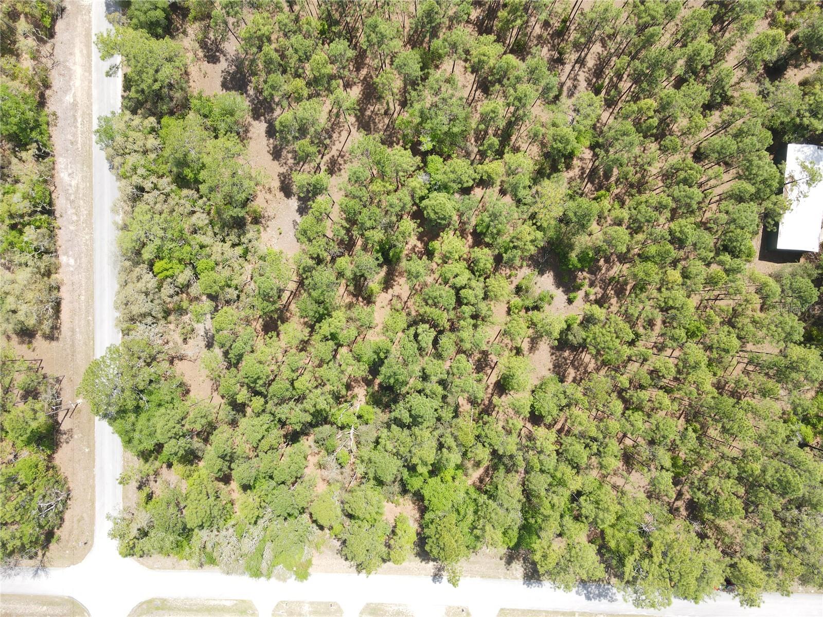 SW 59 LN, DUNNELLON, FL, 34431