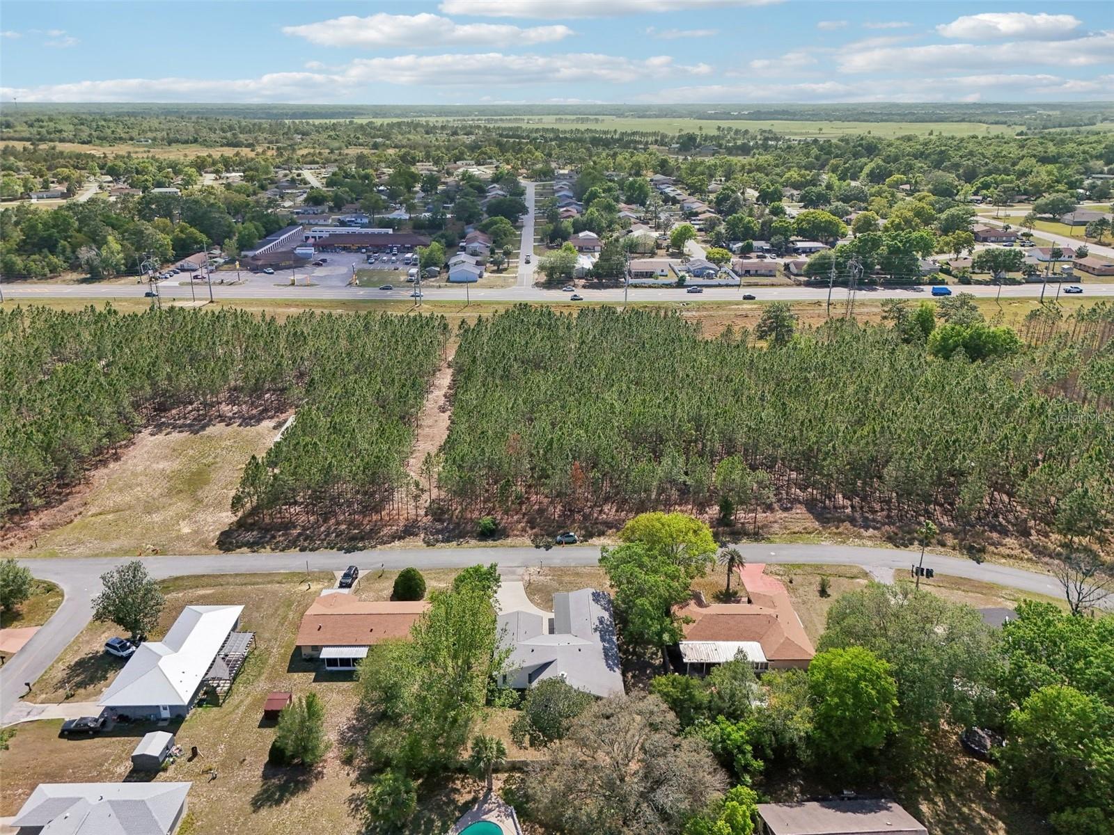 29 SAPPHIRE RD, OCALA, FL, 34472