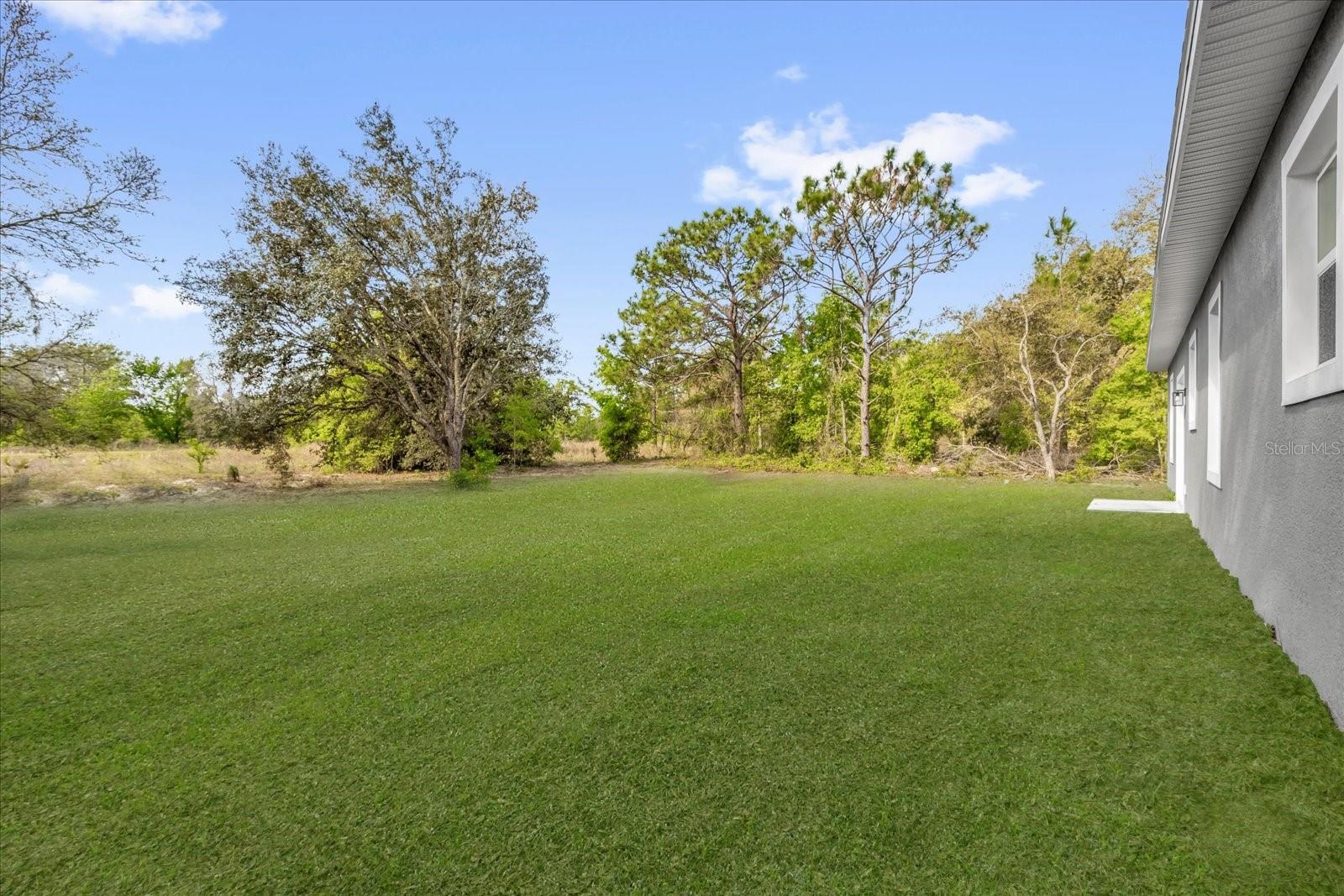 75 GUAVA TER, OCKLAWAHA, FL, 32179