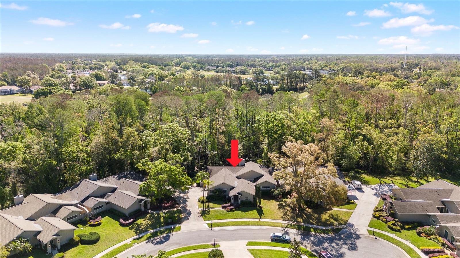 1025 ROYAL TROON CT, TARPON SPRINGS, FL, 34688