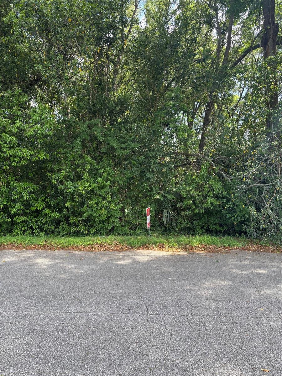 SE 135TH LN, SUMMERFIELD, FL, 34491