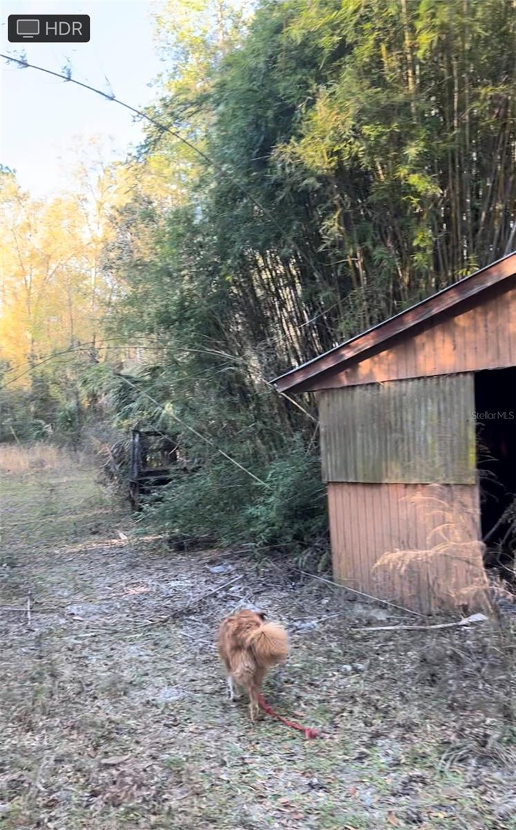 3709 & 3805 SW STATE ROAD 45, NEWBERRY, FL, 32669