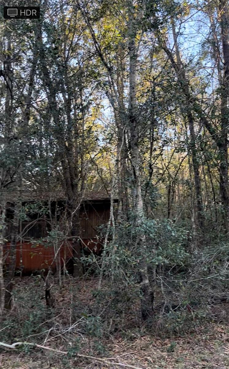 3709 & 3805 SW STATE ROAD 45, NEWBERRY, FL, 32669