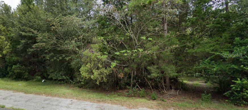 3709 & 3805 SW STATE ROAD 45, NEWBERRY, FL, 32669
