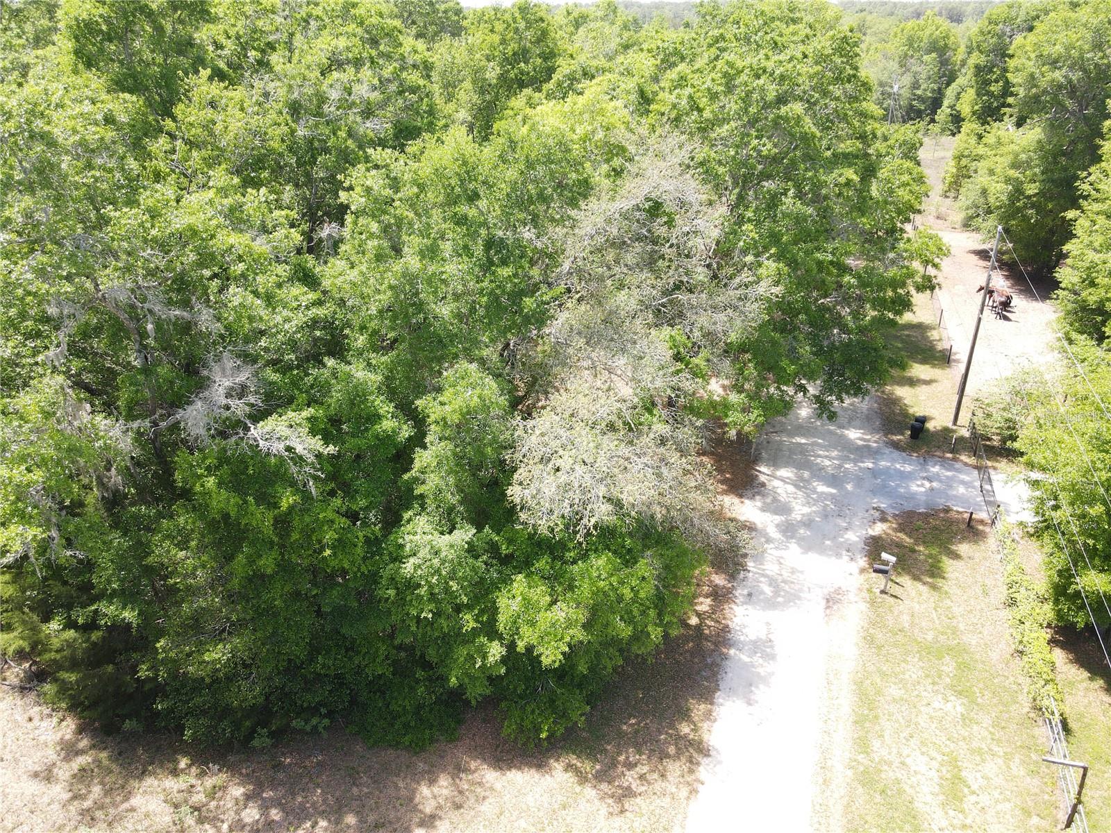 SW 30 PL, OCALA, FL, 34481