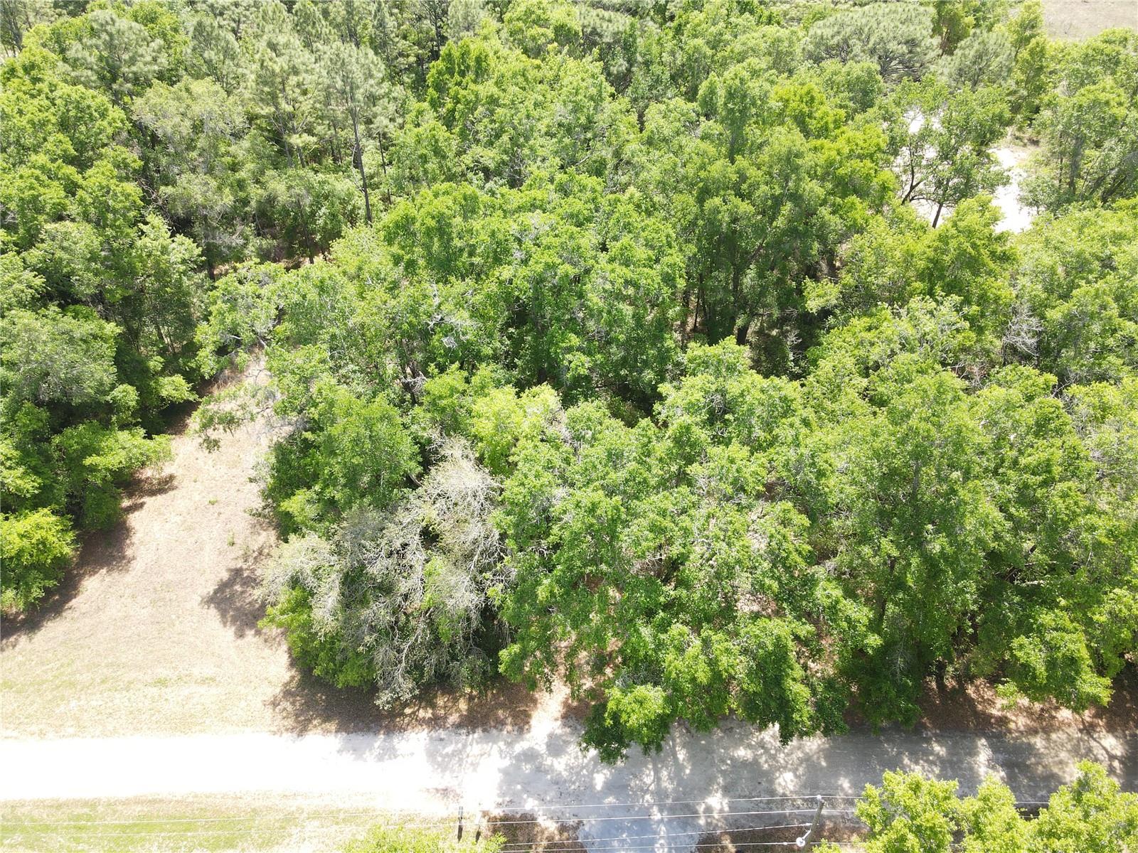 SW 30 PL, OCALA, FL, 34481