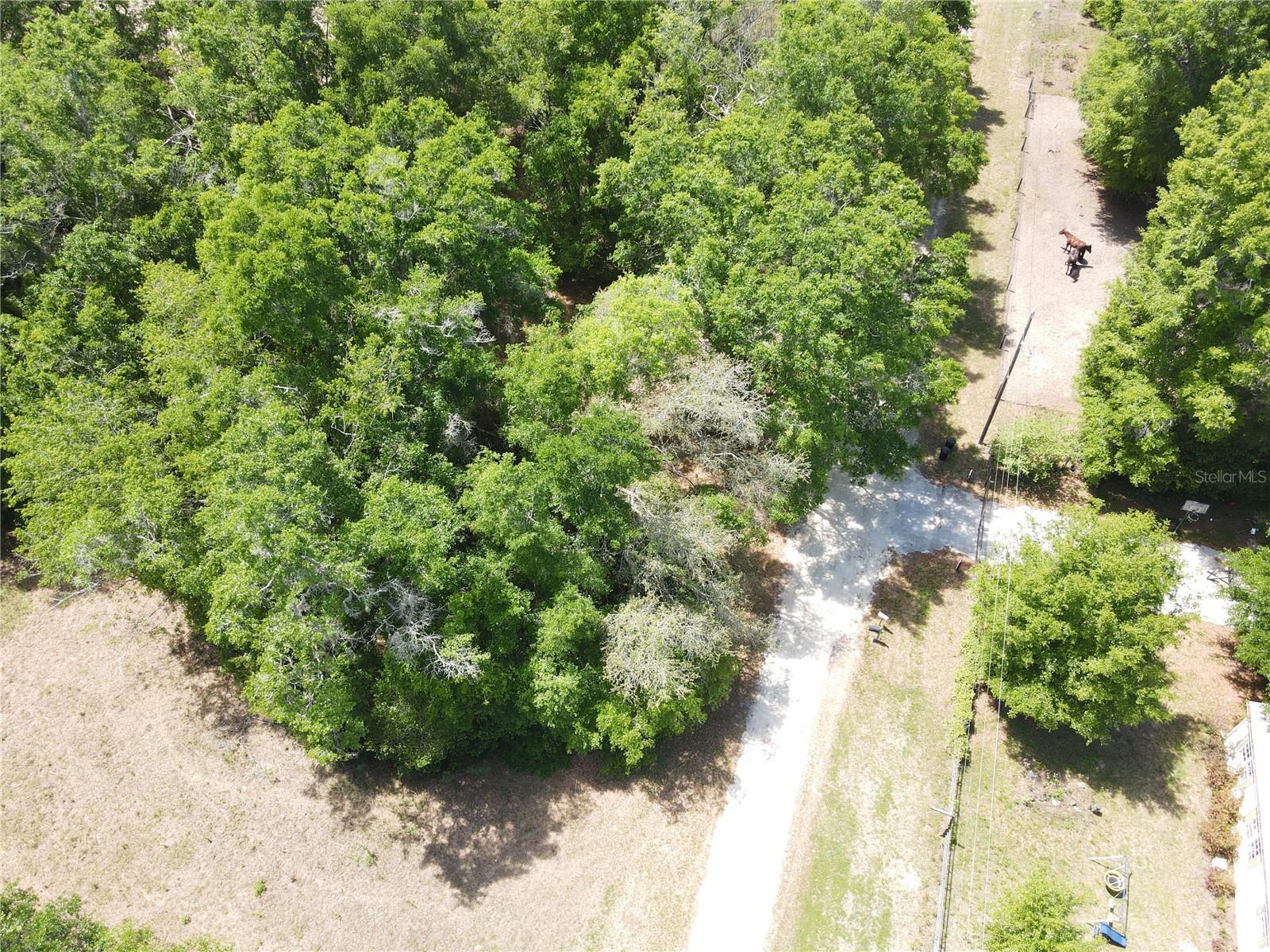 SW 30 PL, OCALA, FL, 34481
