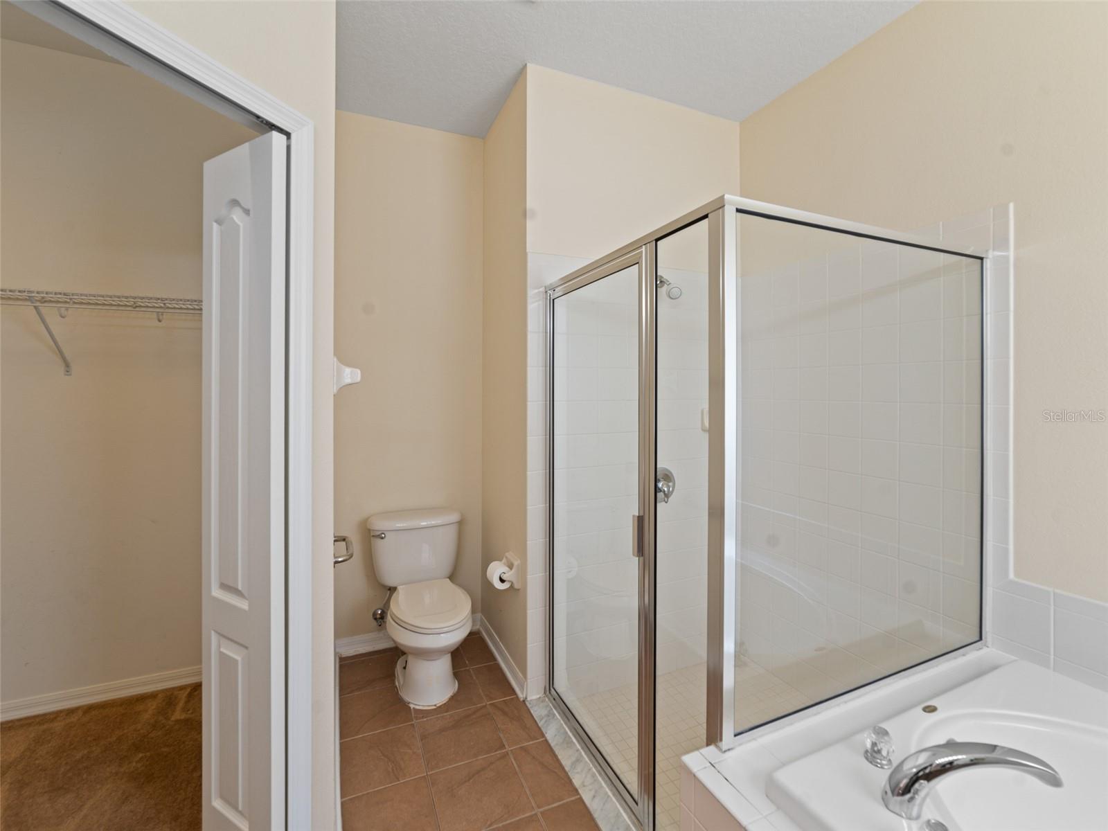7708 ATWOOD DR, WESLEY CHAPEL, FL, 33545