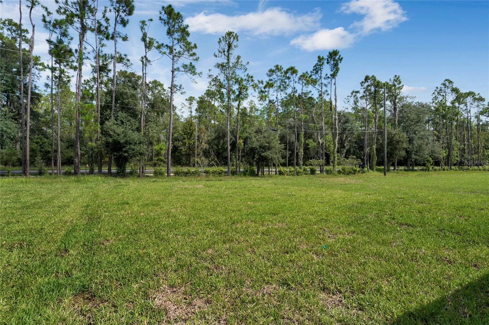 4252 BRIDLE BOOSTER WAY, LAKELAND, FL, 33801