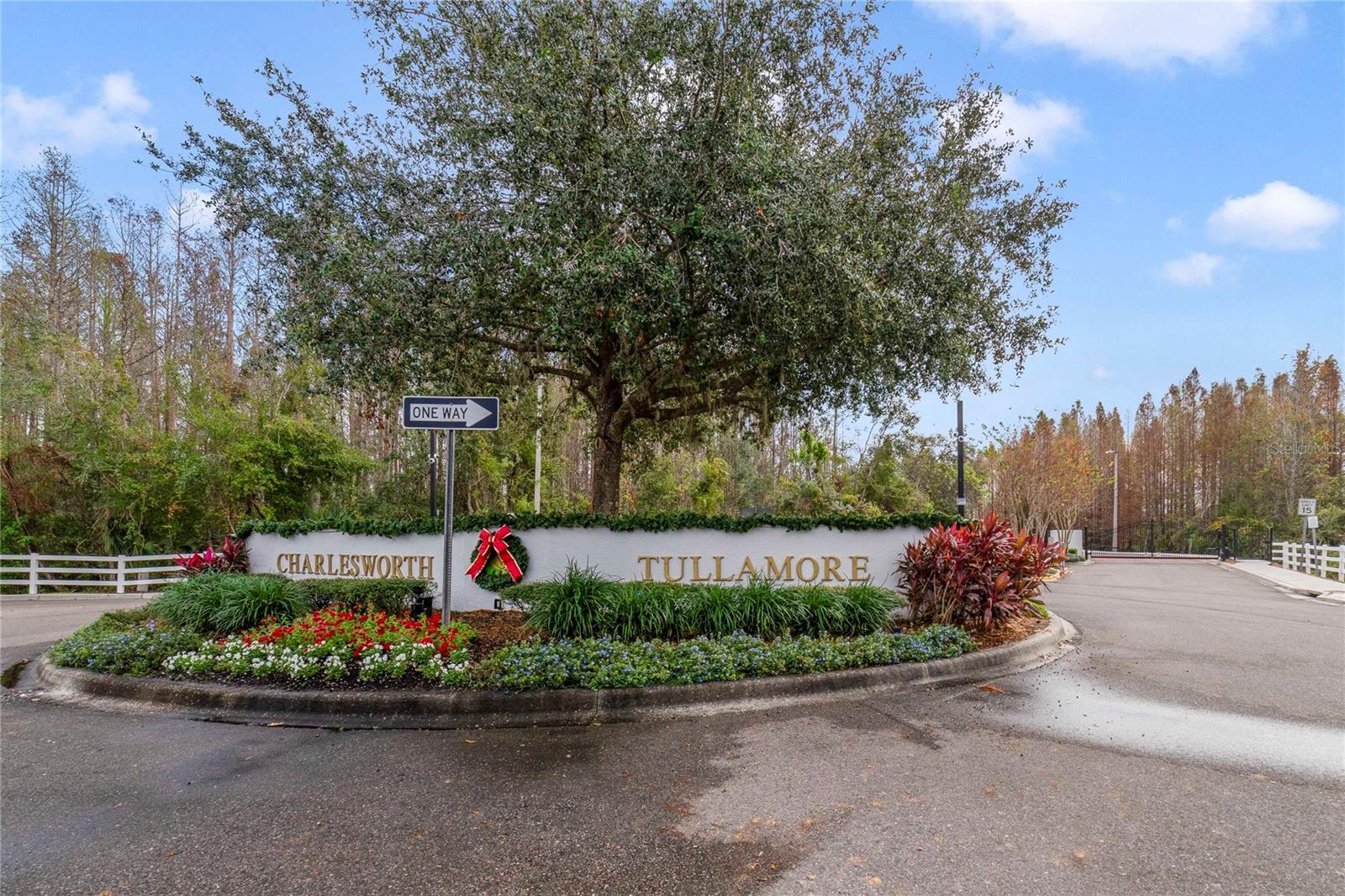 1037 BLACKWATER DR, WESLEY CHAPEL, FL, 33543