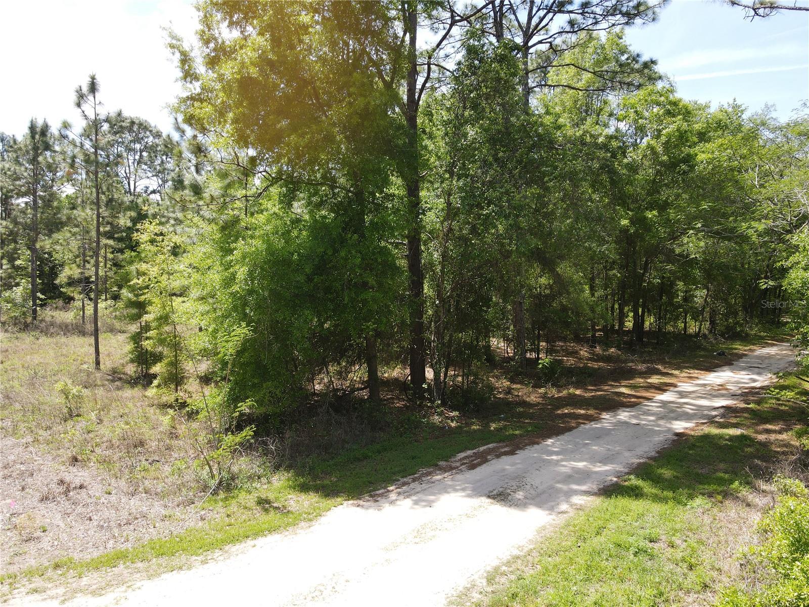 SW 29 LN, OCALA, FL, 34481