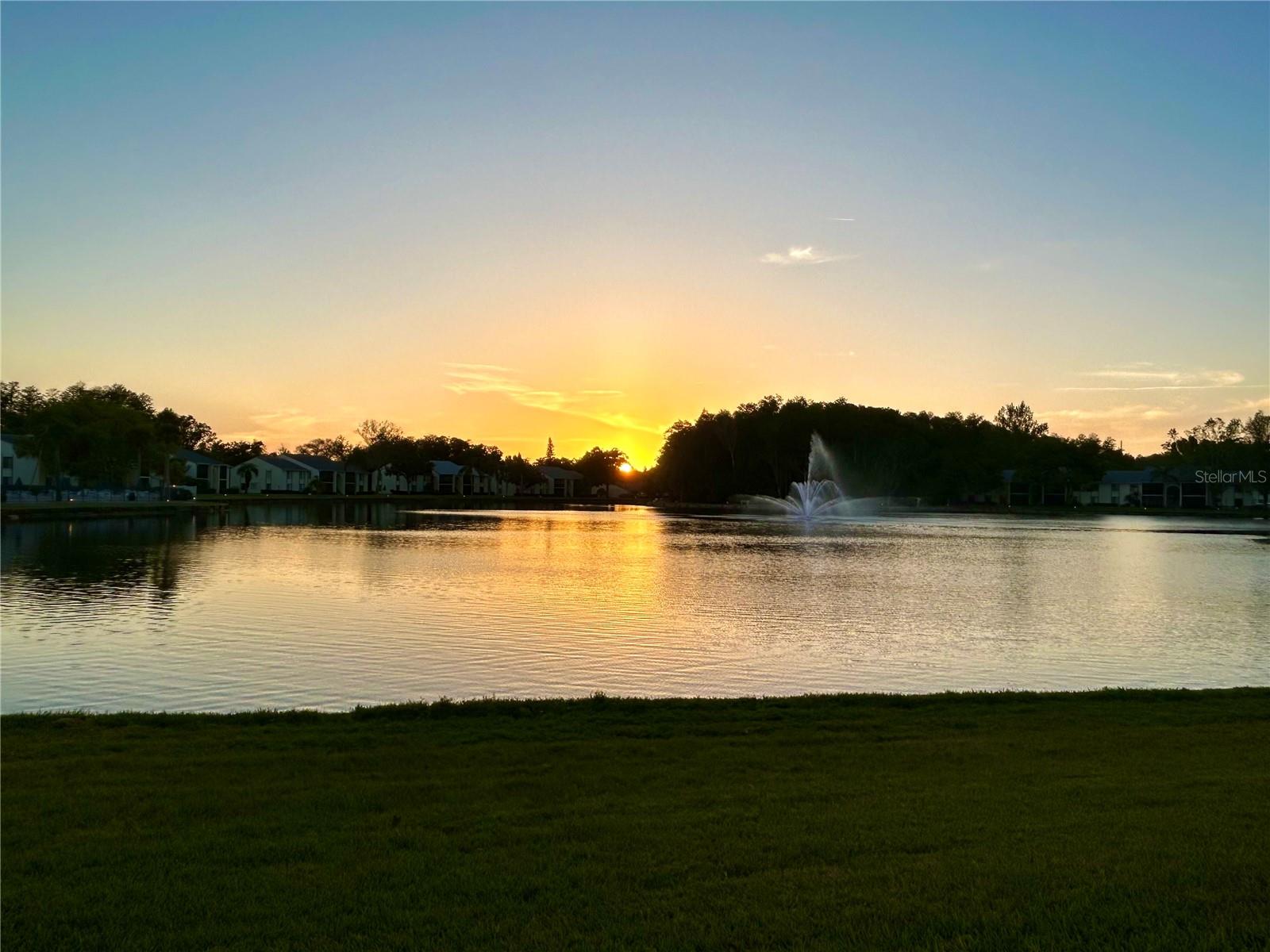 1423 PINE GLEN LN #D2, TARPON SPRINGS, FL, 34688