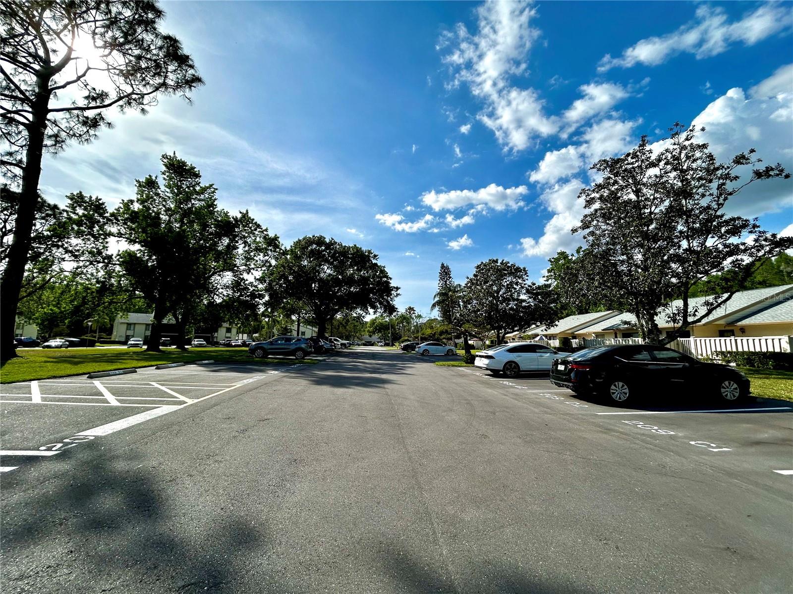 1423 PINE GLEN LN #D2, TARPON SPRINGS, FL, 34688